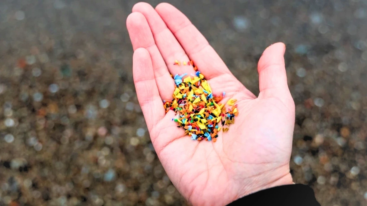 Mikroplastik nie znika. Zapisuje się w plemnikach i wraca w dzieciach