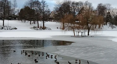 Mróz chwycił, ale nie dajmy się oszukać. Kiedyś to były zimy