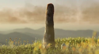 Licząca 410 mln lat skamieniałość znaleziona w Szkocji, okazała się nową, nieznaną wcześniej formą życia, odmienną od roślin i grzybów.