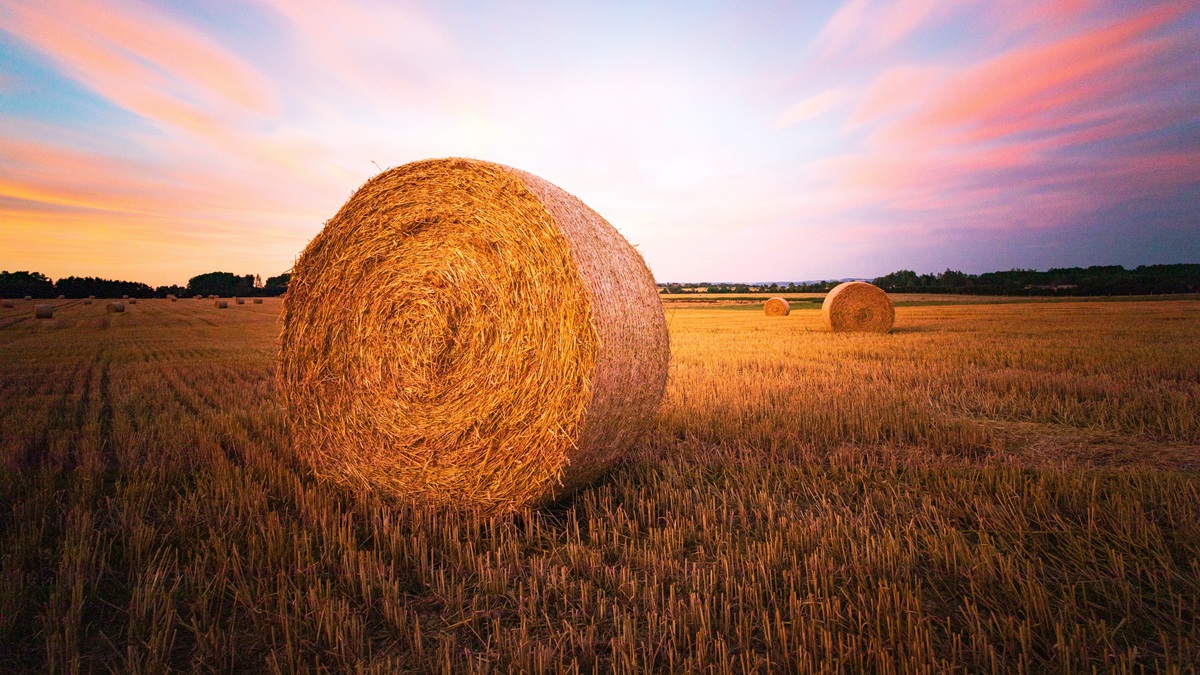 Ogrzeją się w nietypowy sposób. Pierwsza taka inwestycja