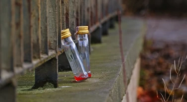 Małpki poza kaucją to absurd. Rząd "daje sobie czas", a tu trzeba działać