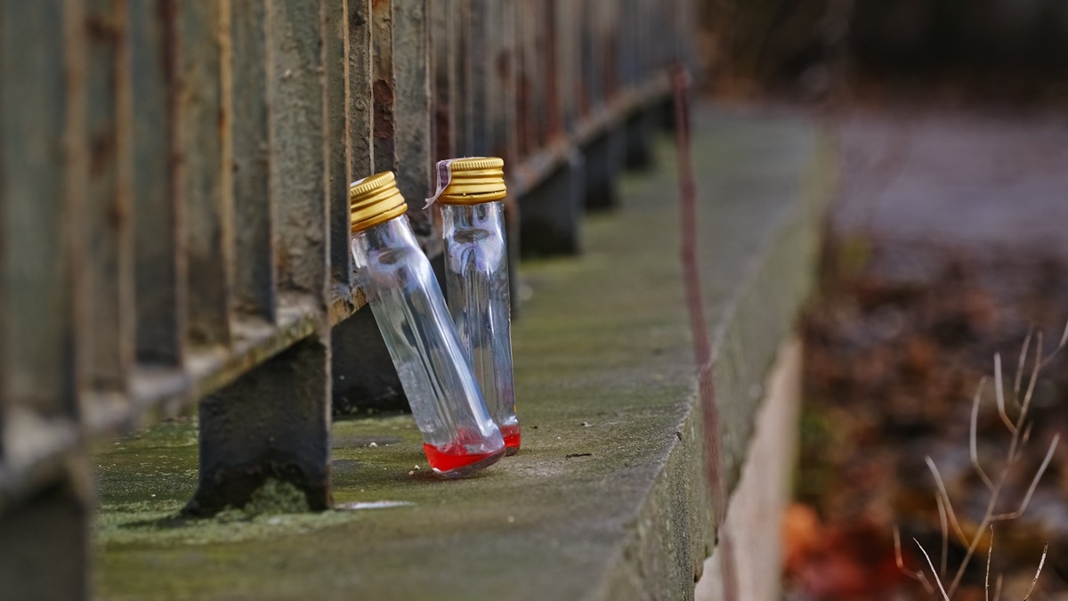 Małpki poza kaucją to absurd. Rząd „daje sobie czas”, a tu trzeba działać