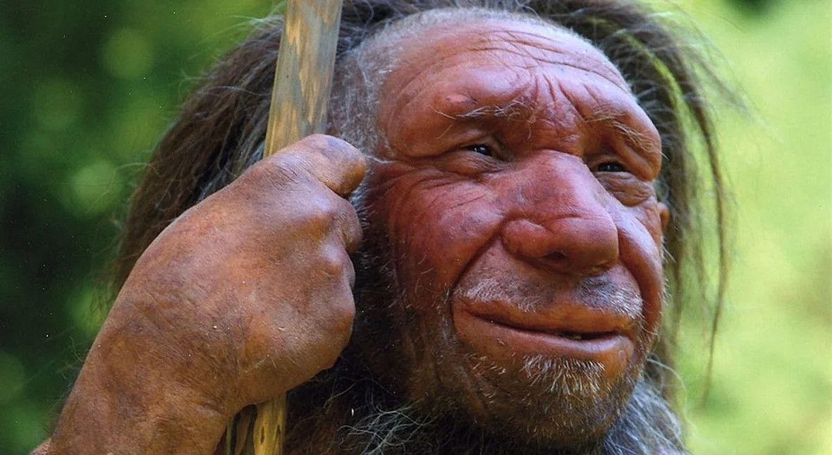 Image for Tajemnica brakującego DNA rozwiązana. Efekt prehistorycznych romansów