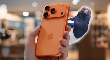 Jesteście jak sroki. Nie chodzi o parametry aparatu, byle kolor modny