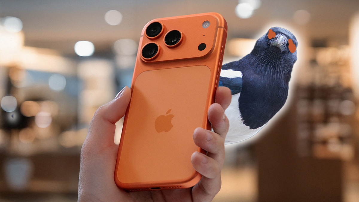 Jesteście jak sroki. Nie chodzi o parametry aparatu, byle kolor modny