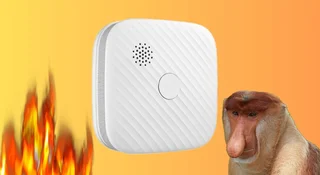 Czujniki dymu czadu za darmo rząd