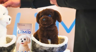 Zamiast odkurzaczy zrobili... psa. Natychmiastowy hit