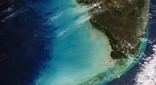 Mróz uderzył w USA, a ocean przy Florydzie eksplodował kolorem