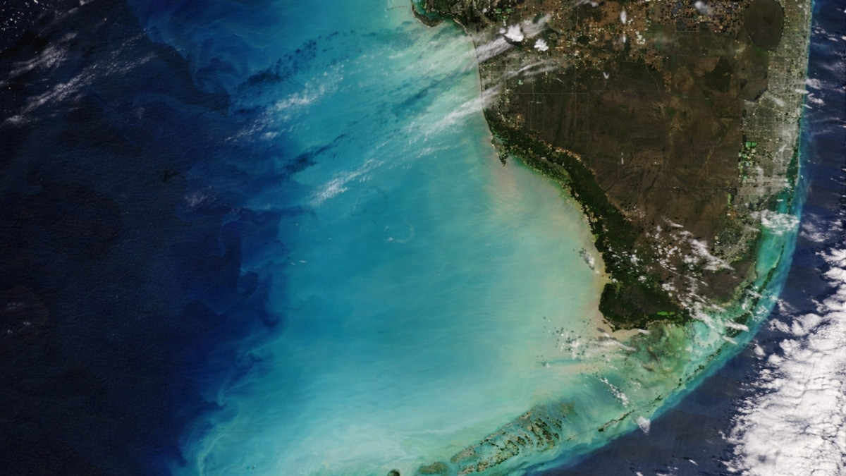 Coś nagle zmieniło kolor oceanu. Natura przestraszyła ludzi