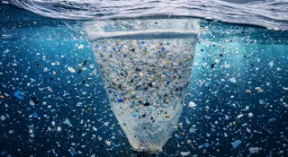 Mikroplastik pobił rekord i to nie jest dobra wiadomość