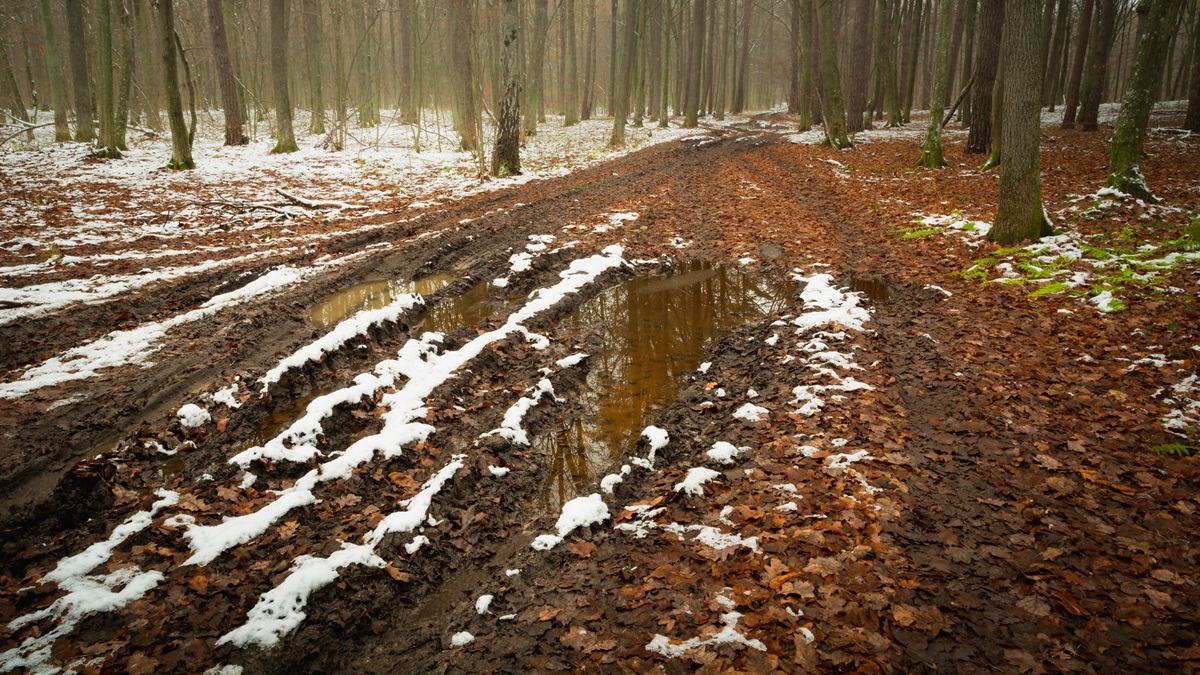 Porządna zima to nadzieja na normalne lato? Żebyście się nie zdziwili