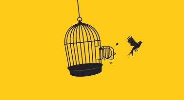 Każą mu płacić za parking, mówi, że nie jest niewolnikiem. O co chodzi z tą wolnością?