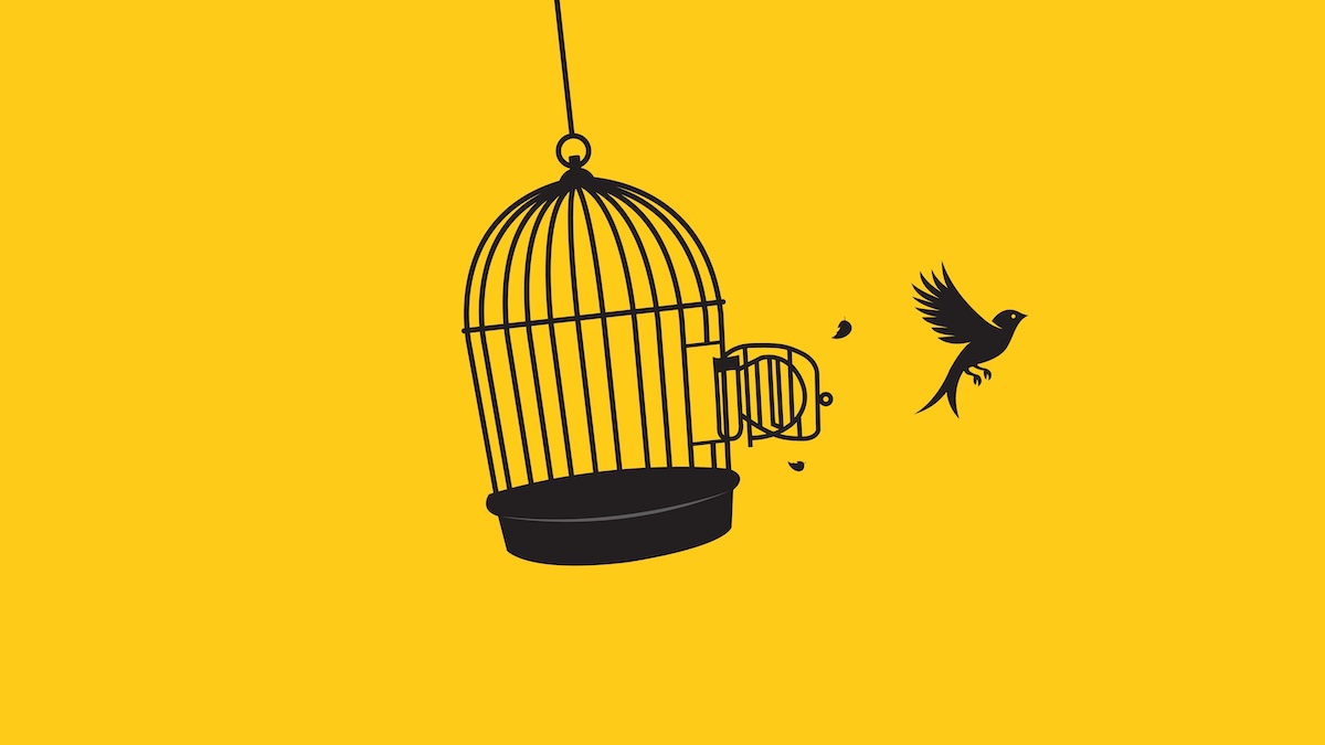 Każą mu płacić za parking, mówi, iż nie jest niewolnikiem. O co chodzi z tą wolnością?