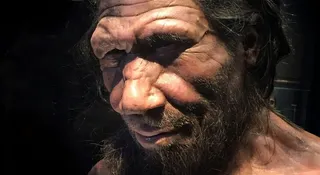 Zniknięcie neandertalczyków z powierzchni Ziemi około 40 tys. lat temu to jedna z największych zagadek w historii ewolucji. Choć współczesna nauka coraz lepiej radzi sobie z odczytywaniem przeszłości z kopalnego DNA, to wciąż pełno w niej białych plam.