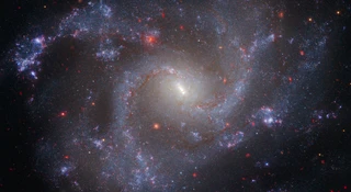 Brutalnie wyjaśnili, dlaczego nie widzimy obcych. Ludzkość ma powody do strachu