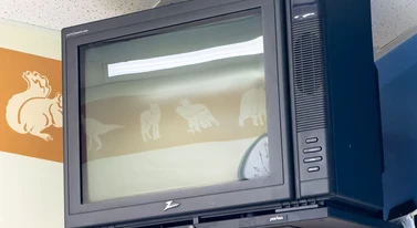 Nie płacą za abonament RTV i już. Narosły kolosalne długi