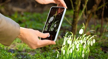 Robisz zdjęcie i pomagasz nauce. Wystarczy telefon