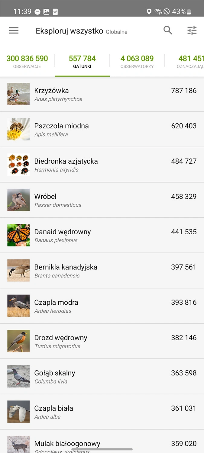 Najczęściej obserwowane gatunki