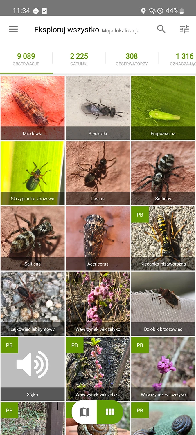 Lista ostatnio dodanych obserwacji