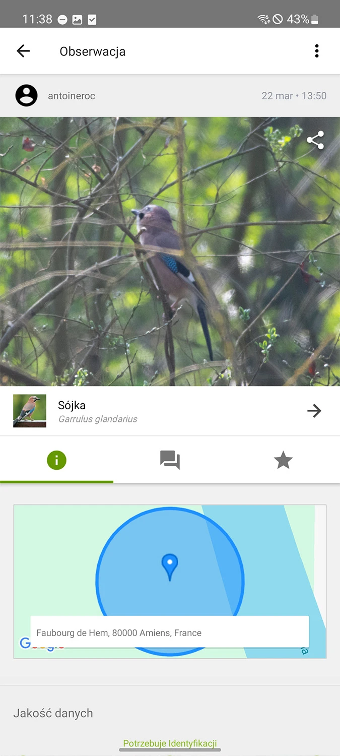 https://cdn-sw.spidersweb.pl/2026/03/aplikacja-inaturalist-przykladowa-obserwacja.jpg