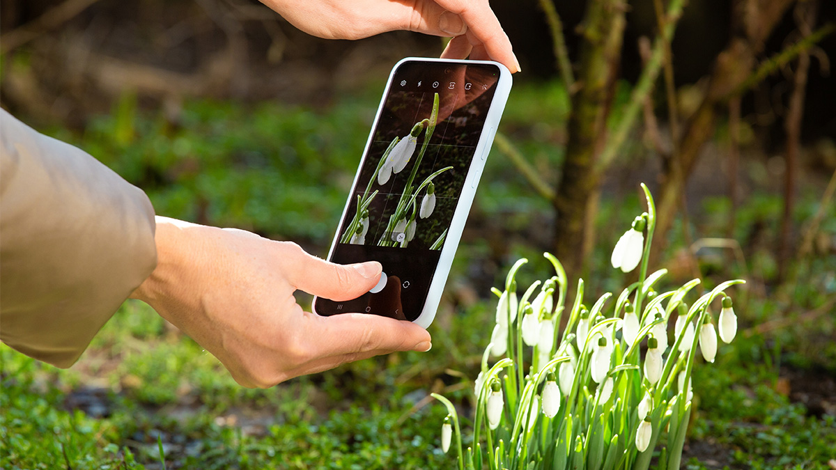 Robisz zdjęcie i pomagasz nauce. Wystarczy telefon