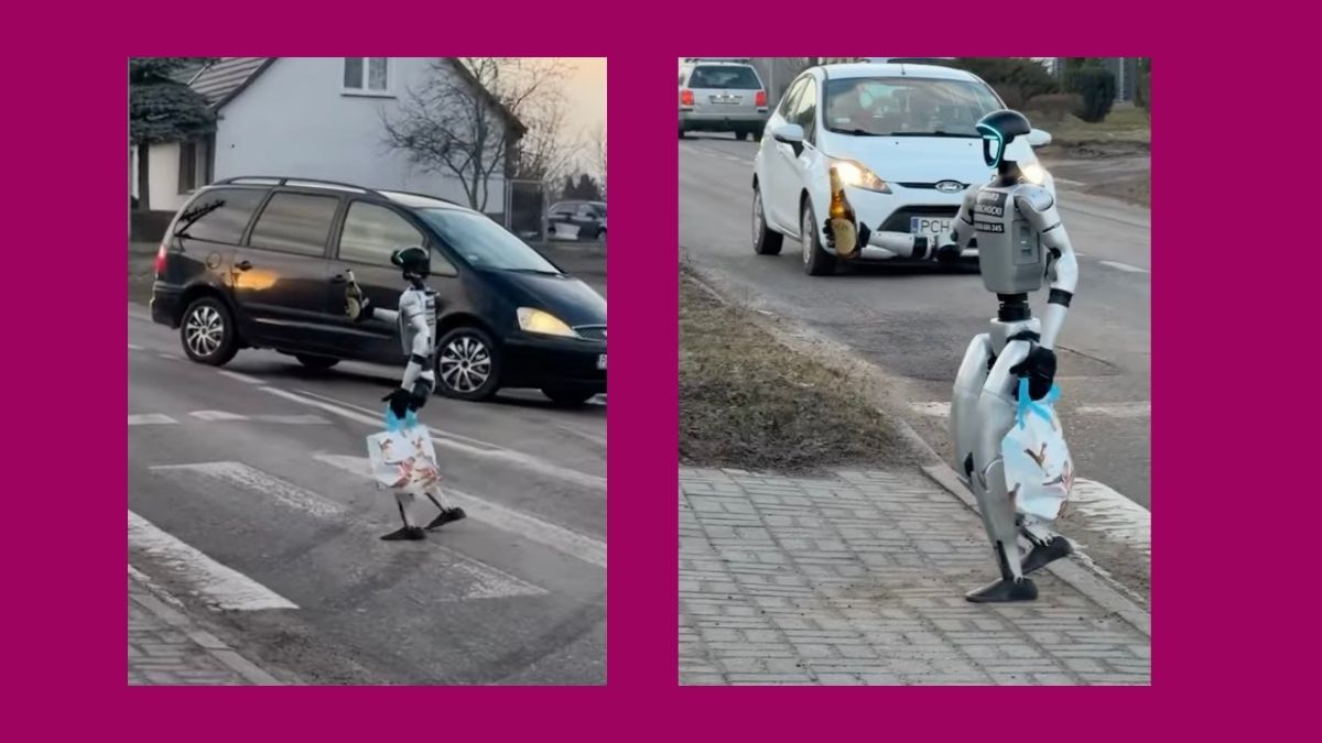 Tyle kosztuje robot z polskiego TikToka. Każdy może go kupić, nie każdego stać