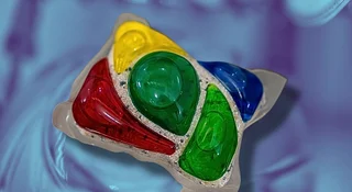 Mycie w zmywarce w 30 minut. Tak innowacje P&G oszczędzają nasz czas