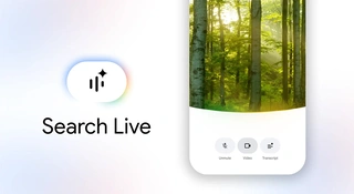 Search Live w Polsce