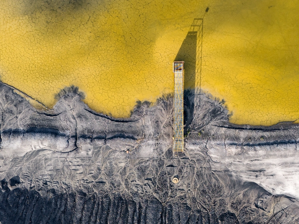 Fot. Shutterstock / Curioso.Photography 