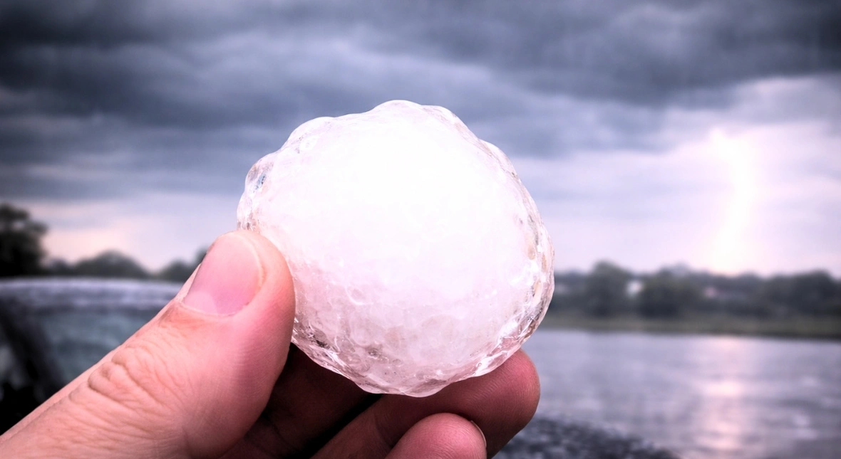 Image for NASA prosi nas o pomoc. Mamy donosić na naturę