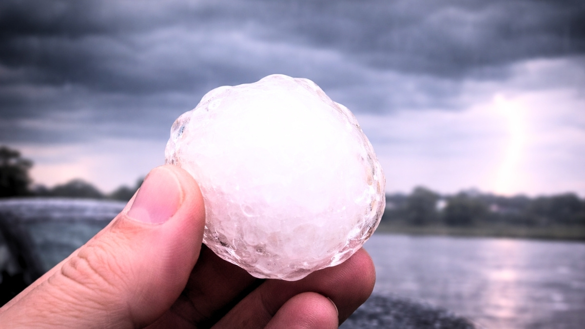 NASA prosi nas o pomoc. Mamy donosić na naturę