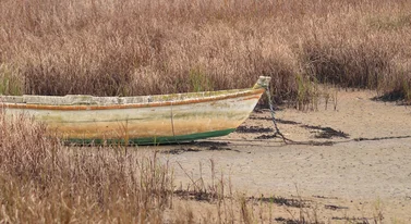 Polski zbiornik wysycha. Jezioro Klimkowskie walczy o przetrwanie