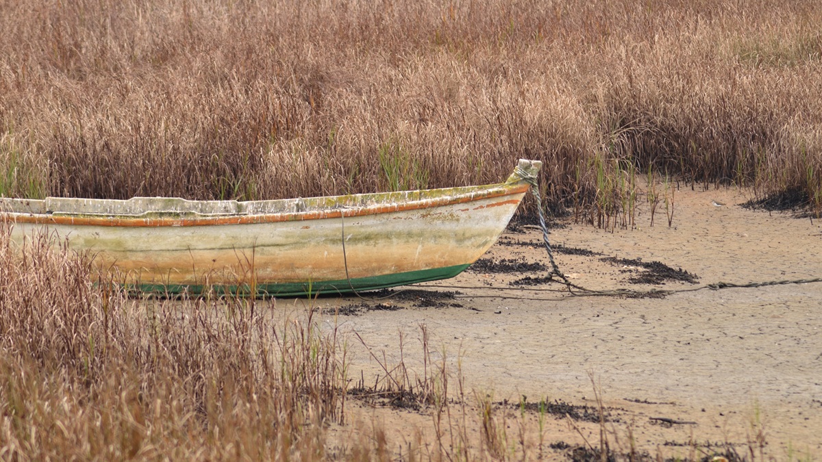 Polski zbiornik wysycha. Jezioro Klimkowskie walczy o przetrwanie