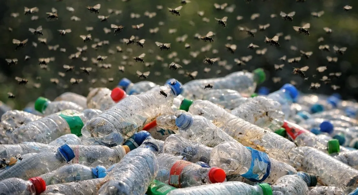 Image for System kaucyjny zamieni domy w wylęgarnie robactwa. Koniec zimy, początek smrodu