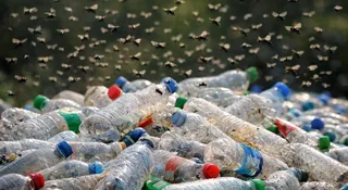 Ekologia po polsku. Butelki, smród i marnowanie wody