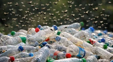 System kaucyjny zamieni domy w wylęgarnie robactwa. Koniec zimy, początek smrodu