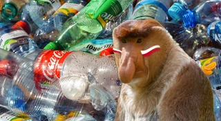 system kaucyjny problem nie dziala awaria automat zwrot butelek puszek