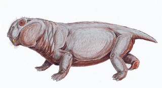 Zarodek ujawnił tajemnicę przetrwania po wielkim wymieraniu. "Przełom"