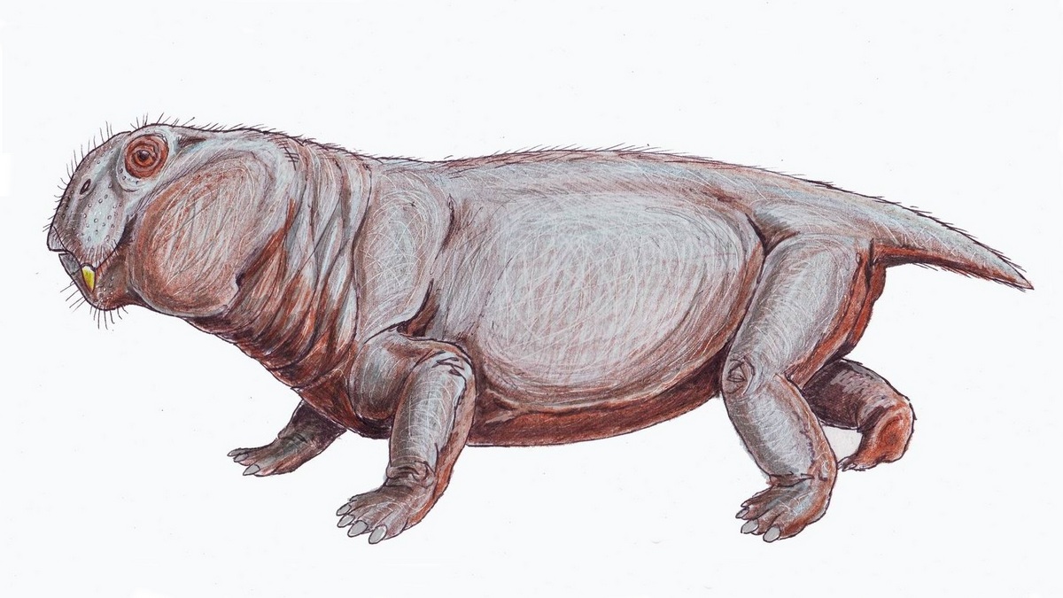 Zarodek ujawnił tajemnicę przetrwania po wielkim wymieraniu. „Przełom”