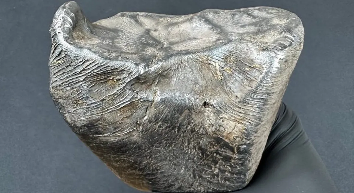 Image for Niesamowite znalezisko pod Łodzią. Z nieba spadło 3 kg kosmicznego żelaza