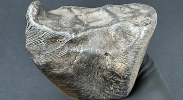 Niesamowite znalezisko pod Łodzią. Z nieba spadło 3 kg kosmicznego żelaza