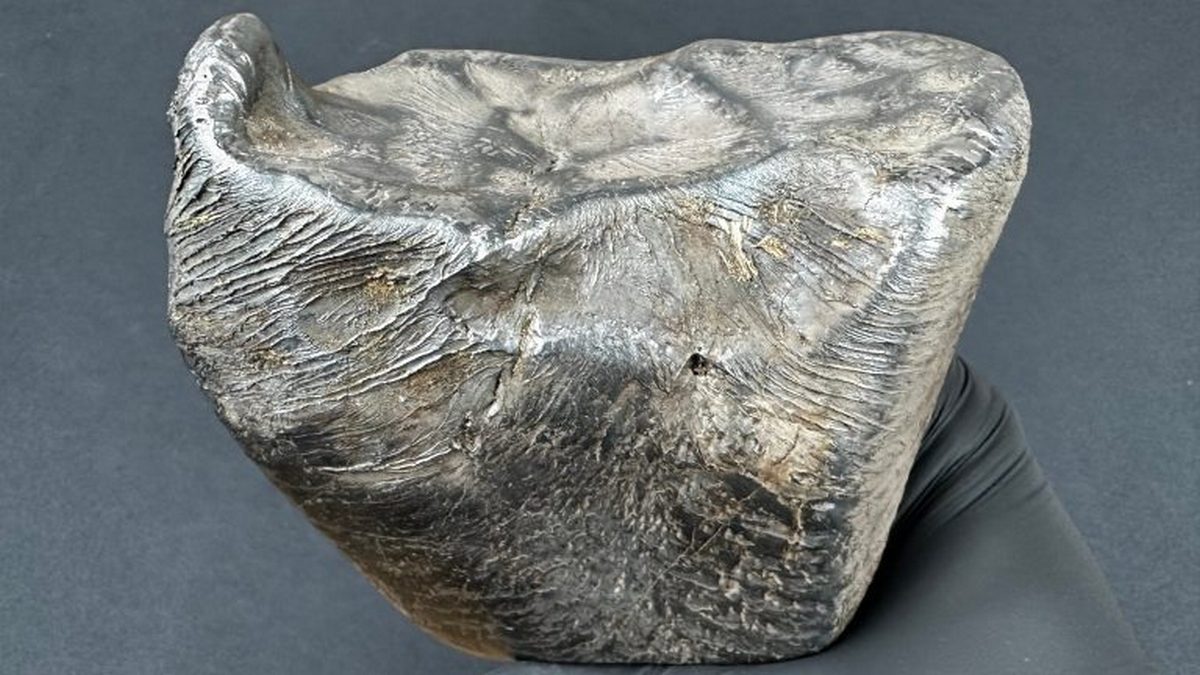 Niesamowite znalezisko pod Łodzią. Z nieba spadło 3 kg kosmicznego żelaza