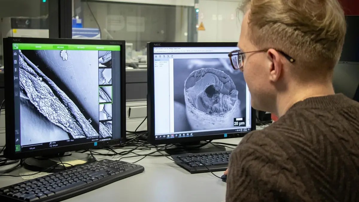 Polacy skopiowali futro niedźwiedzia polarnego. Stworzyli przełomowe nanowłókna