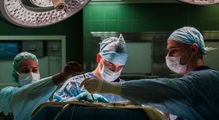 Firma R3 Bio ogłosiła, że chce stworzyć worki na narządy, czyli ciała pozbawione mózhu, które zapewniałyby części zamienne dla ludzi. Wspierany przez miliarderów start-up chce w ten szokujący sposób na zawsze zakończyć erę okrutnych testów na zwierzętach i zrewolucjonizować współczesną medycynę.