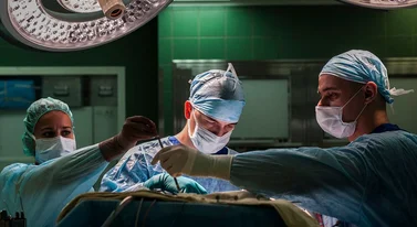 Wyhodują żywe ciało bez mózgu. Szokujący start-up Doliny Krzemowej