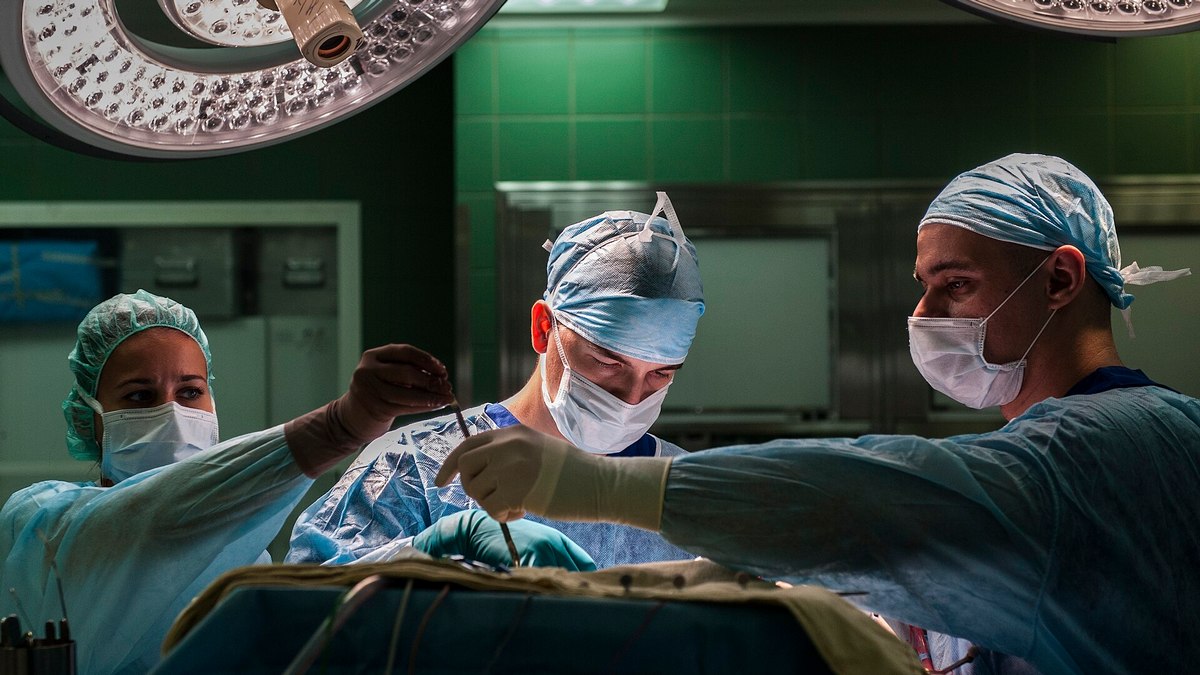 Wyhodują żywe ciało bez mózgu. Szokujący start-up Doliny Krzemowej