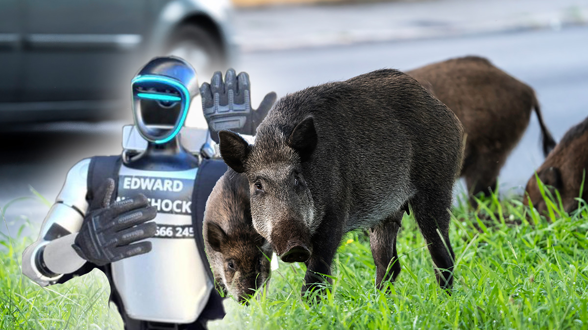 Robot w Polsce przegania dziki, a świat się zachwyca. Szkoda, nie powinien