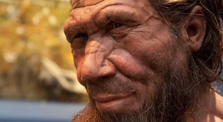W Jaskini Stajnia na Wyżynie Krakowsko-Częstochowskiej dokonano niezwykłego odkrycia zębów neandertalczyków. Międzynarodowy zespół naukowców odczytał ukrytą w prastarych szczątkach historię, która rzuca zupełnie nowe światło na wędrówki naszych wymarłych krewnych. To, co znaleźli badacze ze znaczącym udziałem ekspertów z Uniwersytetu Wrocławskiego, udowadnia, że ziemie dzisiejszej Polski były tętniącym życiem, prehistorycznym węzłem komunikacyjnym.