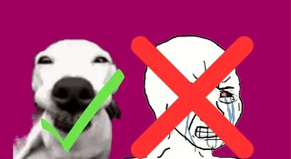 Abonament Orange rachunki