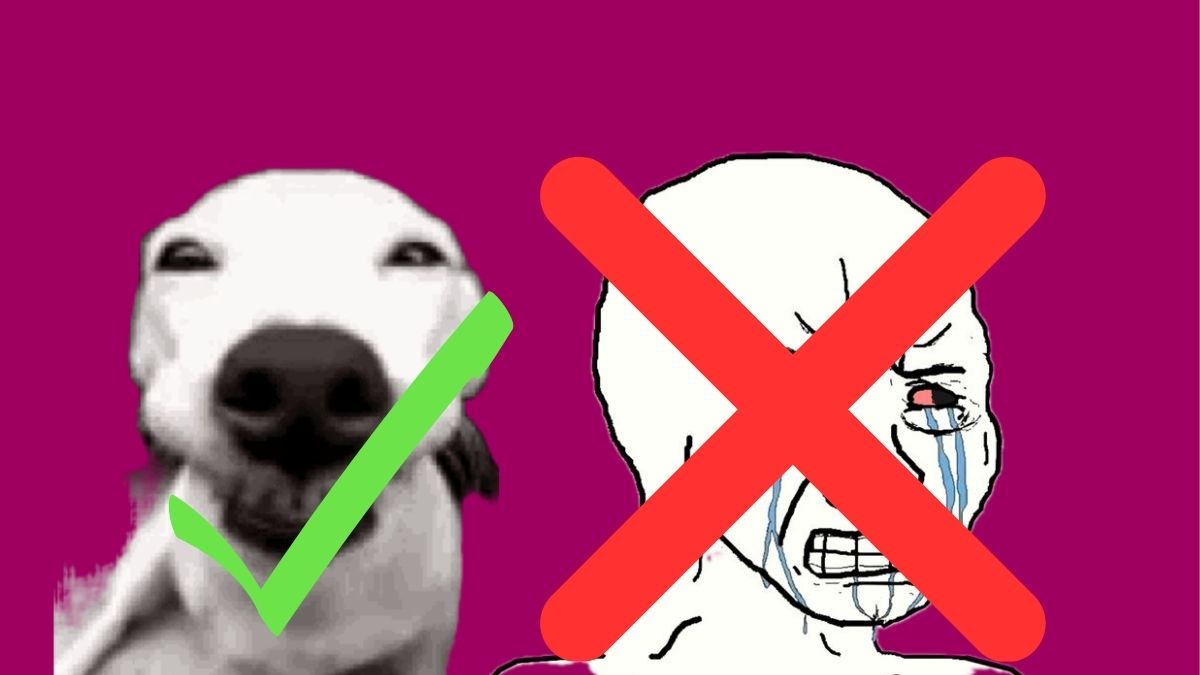 Nie zapłaczesz podczas płacenia rachunków. Abonament właśnie staniał